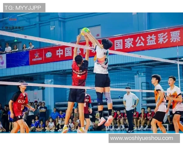 广州排球队耐力创新高引领全国排球耐力排名新趋势