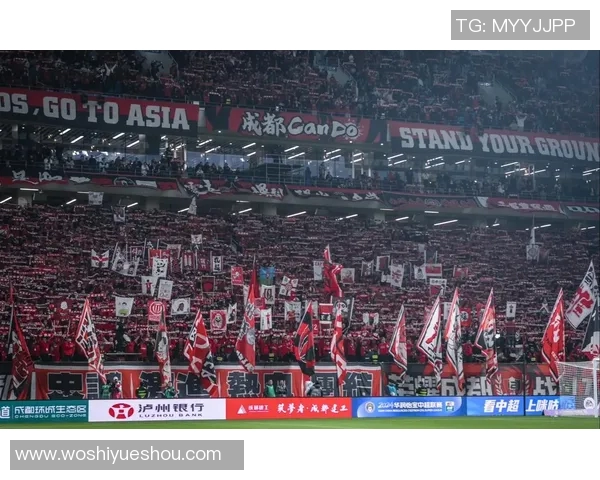 成都乒乓球队技术争议引发热议球迷与专家各执己见探讨技战术发展